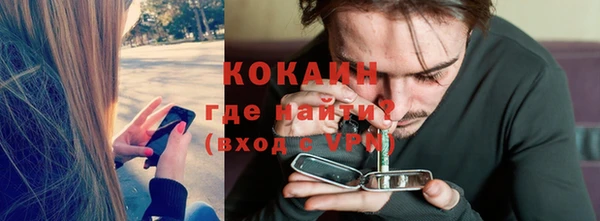 прущие грибы Балабаново