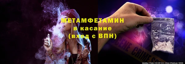 прущие грибы Балабаново