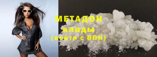 прущие грибы Балабаново