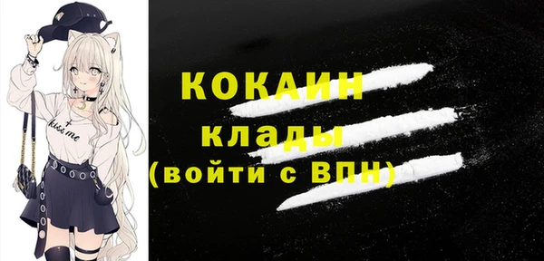 прущие грибы Балабаново