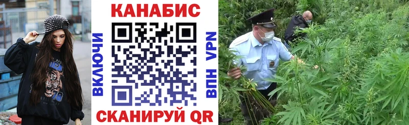 Конопля индика Кукмор