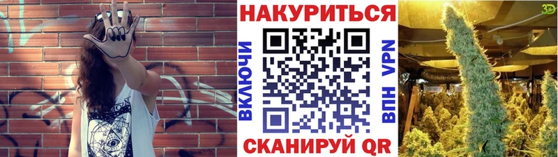 закладка  Кукмор  Каннабис индика 